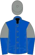 Royal blue, grey and royal blue halved sleeves, grey cap