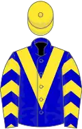 Blue, yellow chevron and chevrons on sleeves, yellow cap