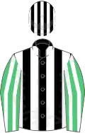 Black and white stripes, emerald green and white striped sleeves