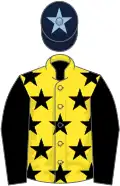 Yellow, black stars, black sleeves, dark blue cap, light blue star