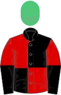 Red and black (quartered), halved sleeves, emerald green cap