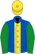 Royal blue, yellow stripe, green sleeves, yellow cap