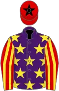 Purple, yellow stars, red and yellow striped sleeves, red cap, black star
