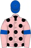 Pink, black spots, pink sleeves, royal blue armlets, royal blue cap
