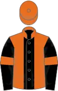 Orange, Black stripe, Black sleeves, Orange armlets