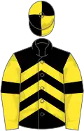 Black, yellow chevrons, yellow sleeves, black armlets, quartered cap