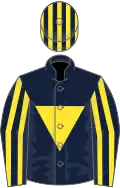Dark blue, yellow inverted triangle, striped sleeves and cap