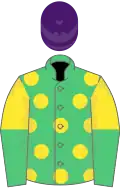 Emerald green, yellow spots, yellow and emerald green halved sleeves, purple cap