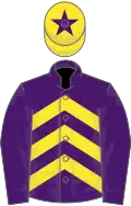 Purple, yellow chevrons, purple sleeves, yellow cap, purple star