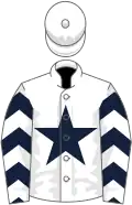 White, dark blue star, chevrons on sleeves