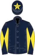 Dark blue, yellow star, striped sleeves and cap