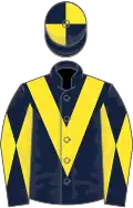 Dark blue, yellow chevron, diabolo on sleeves, quartered cap