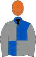 Royal blue and grey (quartered), grey sleeves, orange cap