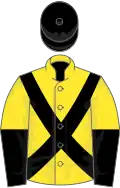 Yellow, black cross belts, yellow and black halved sleeves, black cap