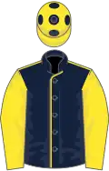 Dark blue, yellow seams and sleeves, yellow cap, blue spots