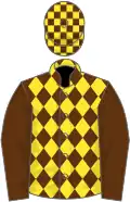 Brown and yellow diamonds, brown sleeves, checked cap