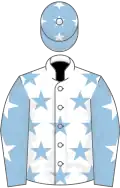 White, light blue stars, light blue sleeves, white stars and stars on cap