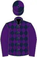 Dark green and purple diamonds, purple sleeves, quartered cap