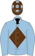 LIGHT BLUE, brown diamond, brown cap, blue spots