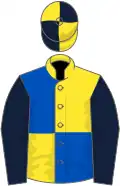Yellow and royal blue (quartered), dark blue sleeves, yellow and dark blue quartered cap