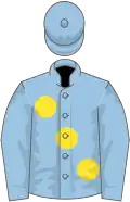 Light Blue, large Yellow spots