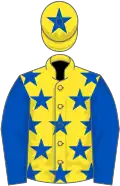 Yellow, royal blue stars, sleeves and star on cap