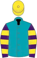 Peacock blue, purple and yellow hooped sleeves, yellow cap