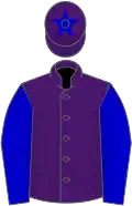 Purple, blue sleeves, purple cap, blue star