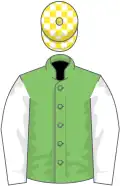 Light green, white sleeves, yellow and white check cap