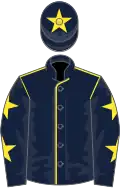 Dark blue, yellow seams, dark blue sleeves, yellow stars, dark blue cap, yellow star