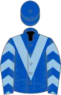 Royal blue, light blue chevron and chevrons on sleeves, royal blue cap