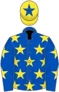 Royal blue, yellow stars, yellow cap, royal blue star