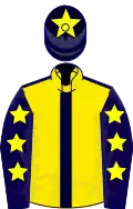 Yellow, dark blue seams, dark blue sleeves, yellow stars, dark blue cap, yellow star