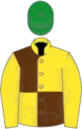 Yellow and brown (quartered), yellow sleeves, green cap