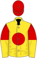 Yellow, red disc, red and yellow halved sleeves, red cap