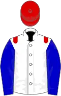 White, blue sleeves, red epaulets and cap