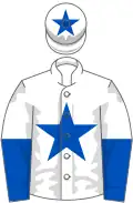 White, royal blue star, halved sleeves and star on cap
