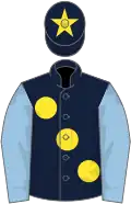 Dark blue, large yellow spots, light blue sleeves, dark blue cap, yellow star