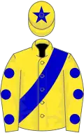 Yellow, blue sash, spots on sleeves, star on cap