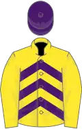 Yellow and purple chevrons, yellow sleeves, purple cap
