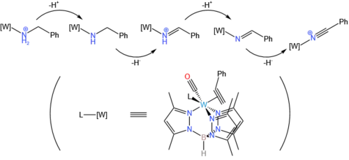 A stepwise oxidation reaction involving tungsten alkyne complexes