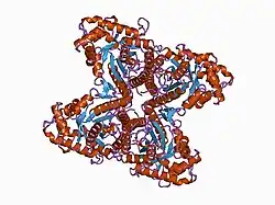 1ado: FRUCTOSE 1,6-BISPHOSPHATE ALDOLASE FROM RABBIT MUSCLE