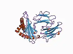 1age: ANTAGONIST HIV-1 GAG PEPTIDES INDUCE STRUCTURAL CHANGES IN HLA B8-HIV-1 GAG PEPTIDE (GGKKKYRL-7R MUTATION)