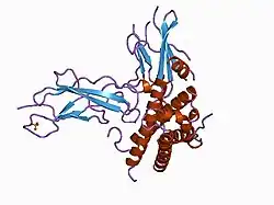 1axi: STRUCTURAL PLASTICITY AT THE HGH:HGHBP INTERFACE