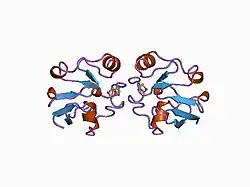 1ayf: BOVINE ADRENODOXIN (OXIDIZED)