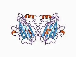 1beh: HUMAN PHOSPHATIDYLETHANOLAMINE BINDING PROTEIN IN COMPLEX WITH CACODYLATE