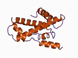 1bh8: HTAFII18/HTAFII28 HETERODIMER CRYSTAL STRUCTURE