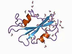 1bkl: SELF-ASSOCIATED APO SRC SH2 DOMAIN
