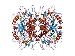 1bzy: HUMAN HGPRTASE WITH TRANSITION STATE INHIBITOR