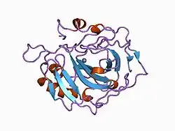 1ca2: REFINED STRUCTURE OF HUMAN CARBONIC ANHYDRASE II AT 2.0 ANGSTROMS RESOLUTION